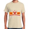 Heavy Cotton  100% Cotton T Shirt Thumbnail